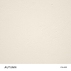 CLAYSTONE PLASTER SAMPLE - CEMHER