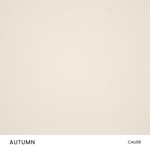 CLAYSTONE PLASTER SAMPLE - CEMHER