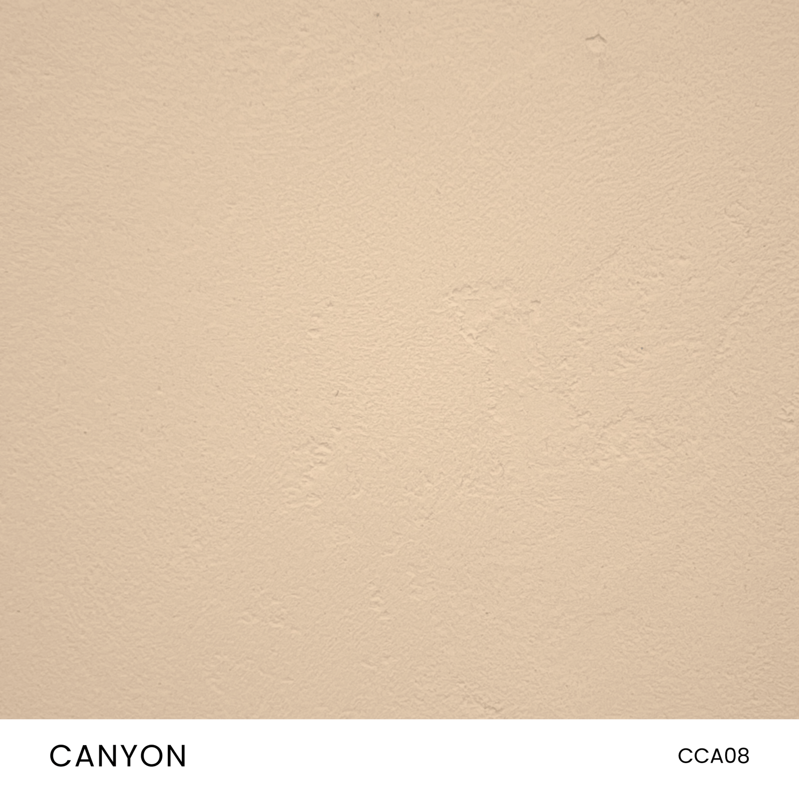 CLAYSTONE PLASTER SAMPLE - CEMHER